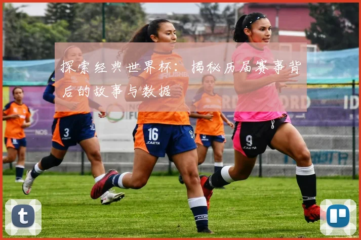 探索经典世界杯：揭秘历届赛事背后的故事与数据